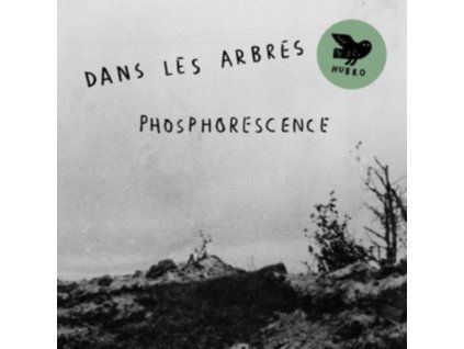 4082900 dans les arbres phosphorescence lp