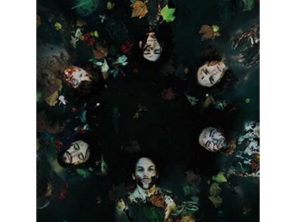 MOTHERS EARTH EXPERIMENT - The Mothers Earth Experiment (LP)