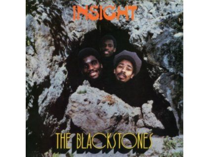 4083665 blackstones insight lp