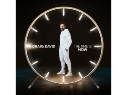 4084145 craig david the time is now lp