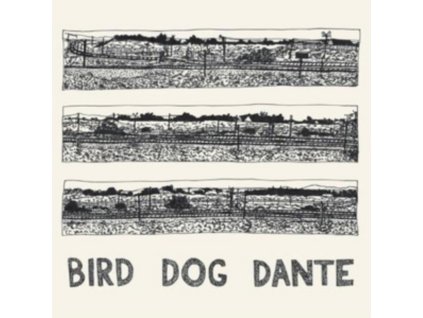 JOHN PARISH - Bird Dog Dante (LP)