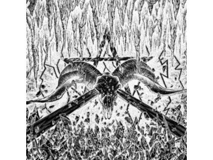 4085693 celestial bodies spit forth from chaos white vinyl lp