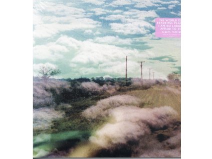WORLD IS A BEAUTIFUL PLACE & I AM NO LONGER AFRAID TO DIE - Always Foreign (Limited Clear Vinyl / Dl Card) (LP)