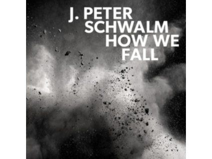 4086044 peter schwalm how we fall lp