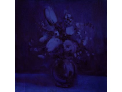 DEAF WISH - Lithium Zion (LP)