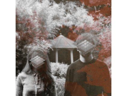 4087079 frost matters lp