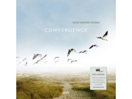 4087283 mezza ginsburg ensemble convergence lp