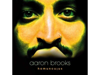 4087616 aaron brooks homunculus lp