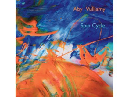 4087688 aby vulliamy spin cycle lp
