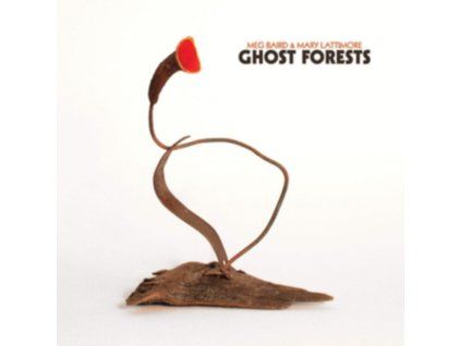 4087985 meg baird mary lattimore ghost forests lp