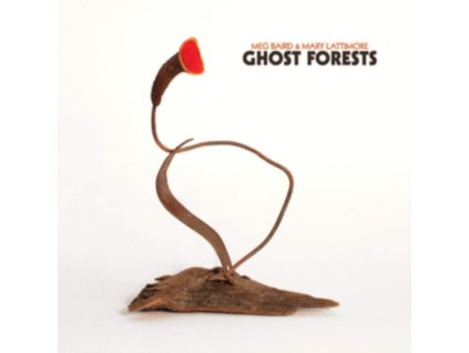 MEG BAIRD & MARY LATTIMORE - Ghost Forests (LP)