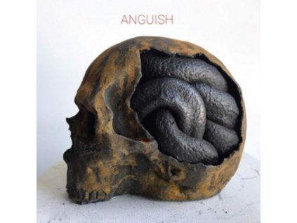 4088153 anguish anguish lp