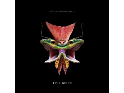 TONY BUCK AND MASSIMO PUPILLO - Time Being LP (LP)