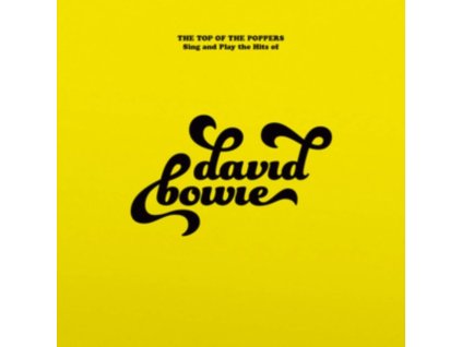 TOP OF THE POPPERS - Sing And Play The Hits Of David Bowie (LP)