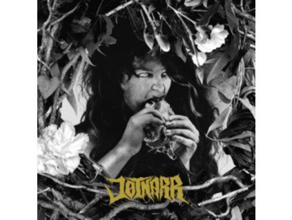 4089986 jotnarr jotnarr lp