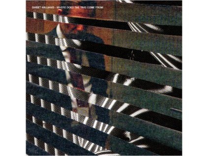 SWEET WILLIAMS - Where Does The Time Come From (LP)