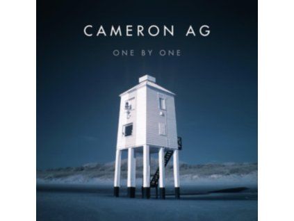 4092404 cameron ag one by one lp