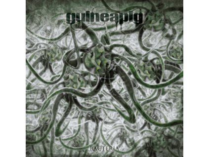 4092773 guineapig bacteria lp