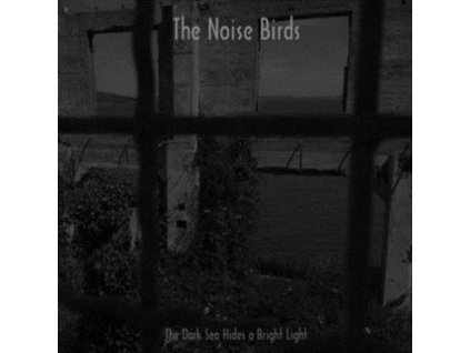 NOISE BIRDS - The Dark Sea Hides A Bright Light (LP)