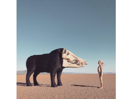 MAN MAN - Dream Hunting In The Valley Of The In-Between (LP)