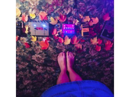 4094747 kidbug kidbug lp