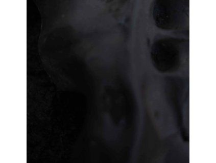 4094804 vito gatto evolve lp