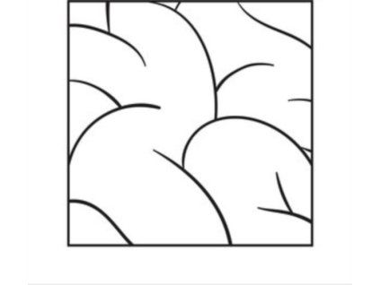 4094840 intellexual intellexual lp