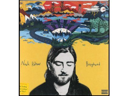 4094972 noah kahan busyhead lp