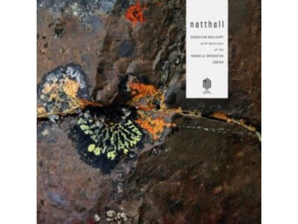 SEBASTIAN MULLAERT / TONHALLE ORCHESTER ZURICH - Natthall (LP)
