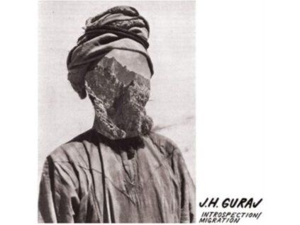 4095527 j h guraj introspection migration lp