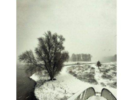 4095575 beequeen winter lp