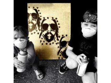BRIAN WRIGHT / THE SNEAKUPS - Lapse Of Luxury (LP)