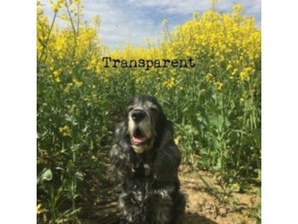 JOSHUA GRANT - Transparent (12Inch" Vinyl)