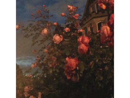 JOHN BENCE - Love (Limited Edition) (LP)