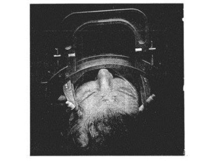 4097258 concede indoctrinate lp