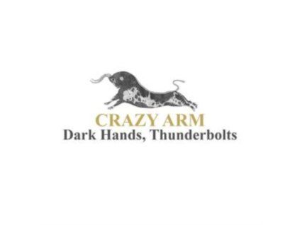 4097960 crazy arm dark hands thunderbolts lp