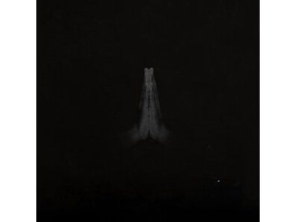 4098434 sault untitled rise lp