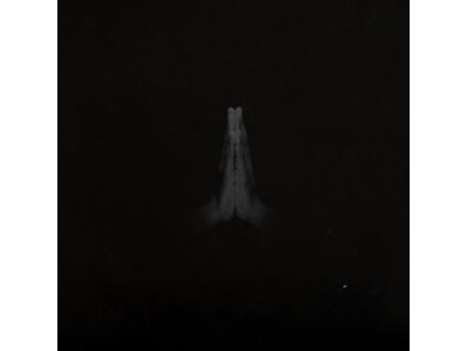 SAULT - Untitled (Rise) (LP)