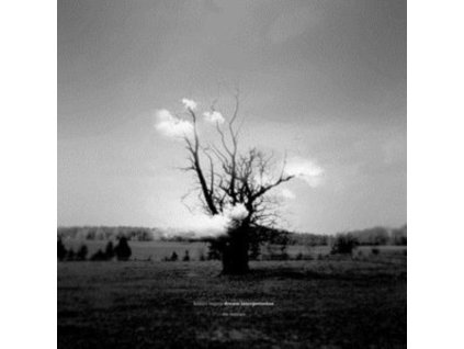 KAZUYA NAGAYA - Dream Interpretation (The Remixes) (LP)