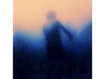 4099439 daniel avery love light lp