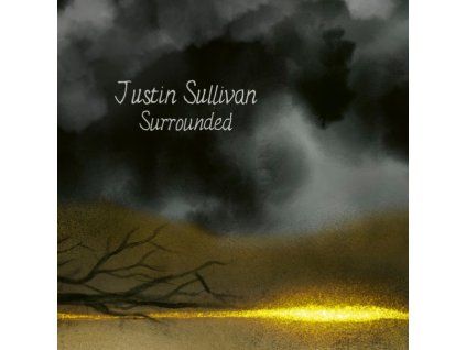 4099739 justin sullivan surrounded lp
