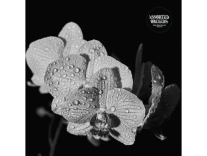 ASSORTED ORCHIDS - Assorted Orchids (LP)