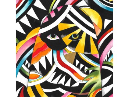 RUTGER HOEDEMAEKERS - The Age Of Oddities (LP)