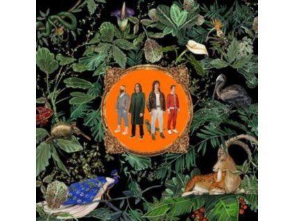 4100393 don broco amazing things lp