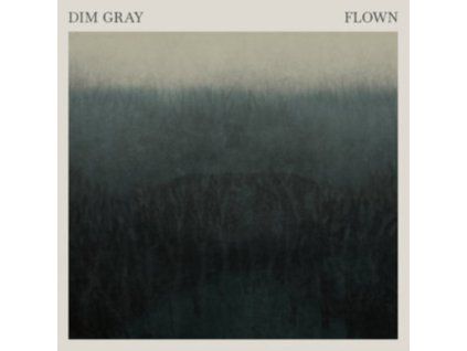 4101341 dim gray flown lp