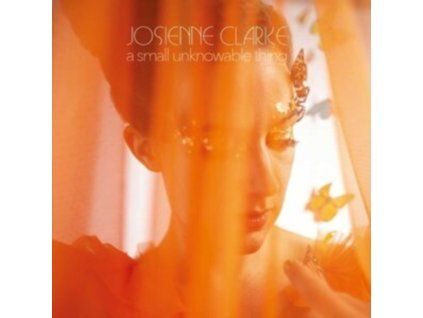 4101785 josienne clarke a small unknowable thing lp