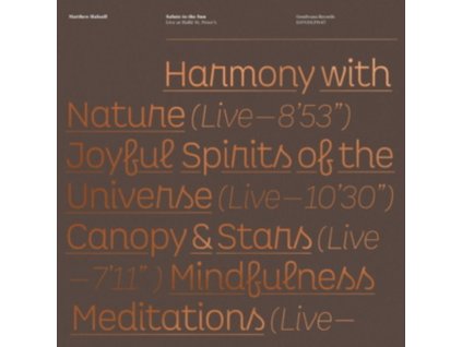 MATTHEW HALSALL - Salute To The Sun Live At Halle St. PeterS (LP)