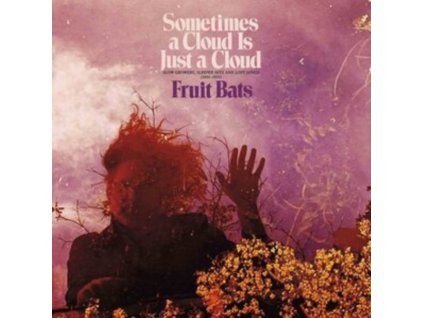 FRUIT BATS - Sometimes A Cloud Is Just A Cloud: Slow Growers. Sleeper Hits And Lost Songs (2001-2021) (LP)