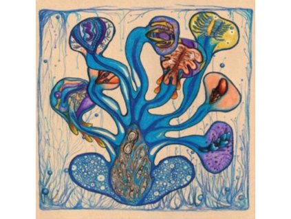 HOUEIDA HEDFI - Fleuves De LAme (LP)
