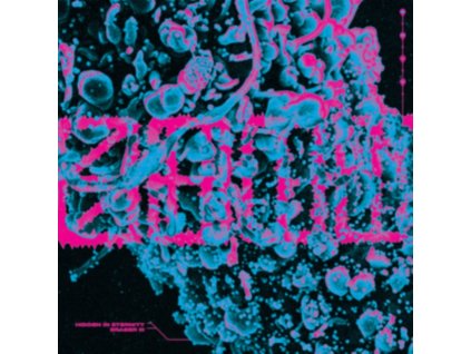 S.H.I.T. - Hidden In Eternity / Eraser III (7Inch" Vinyl)